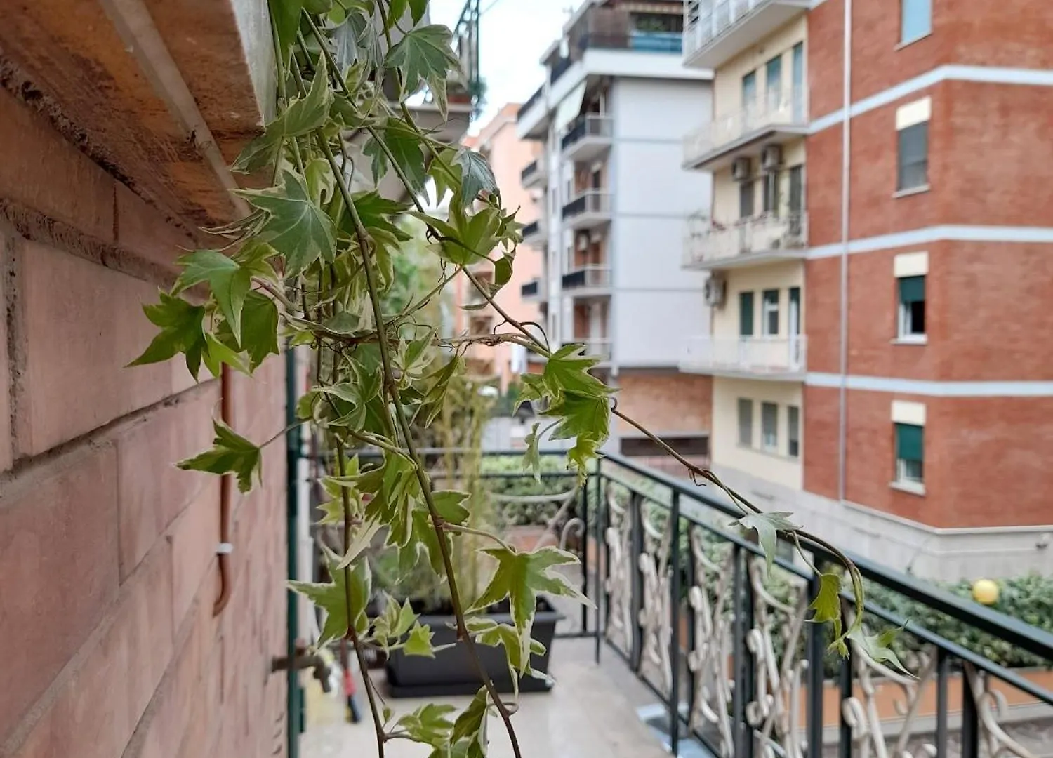 Amber House N.5 - Incantevole Accogliente Luminosa Rome Apartment